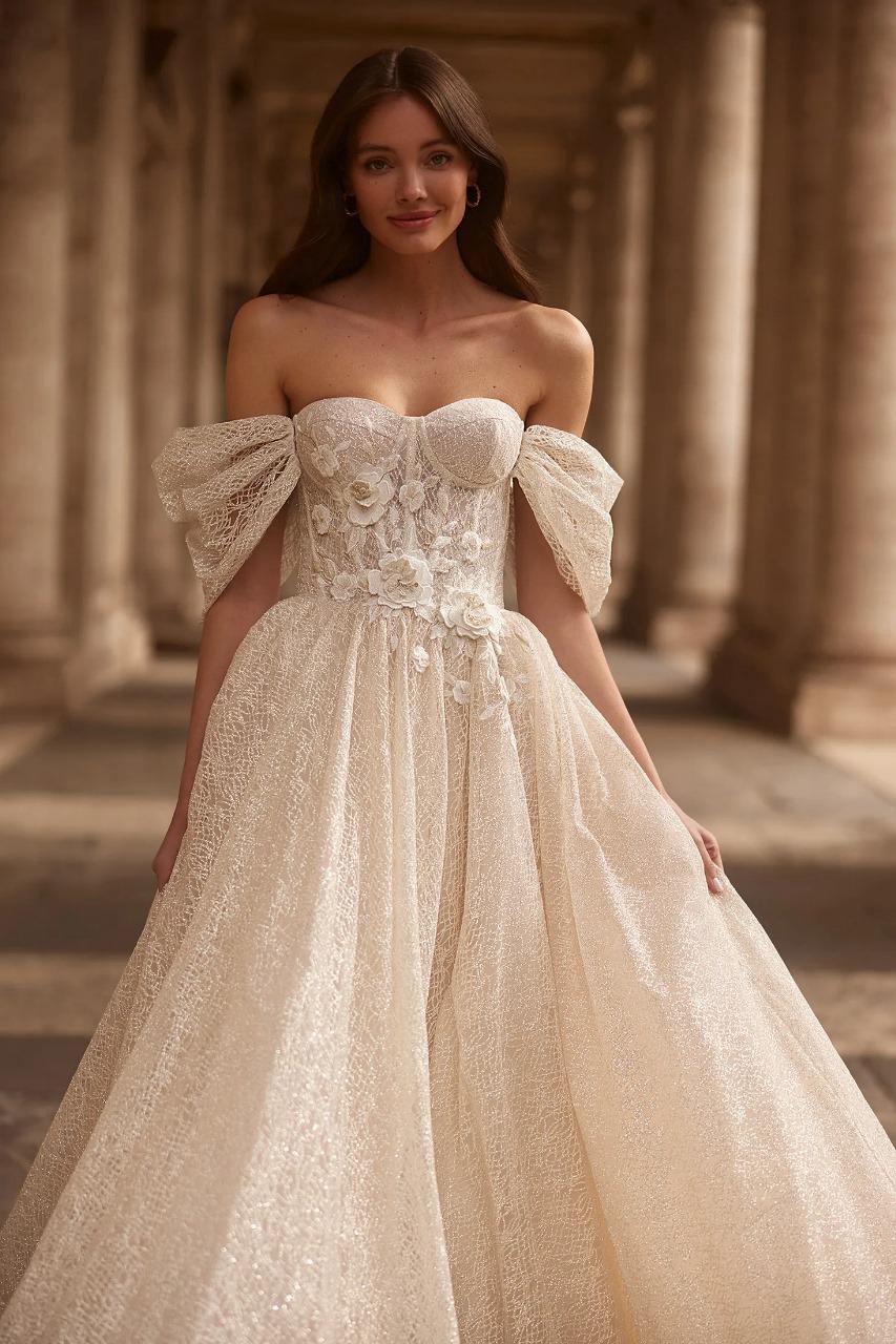 colletion images