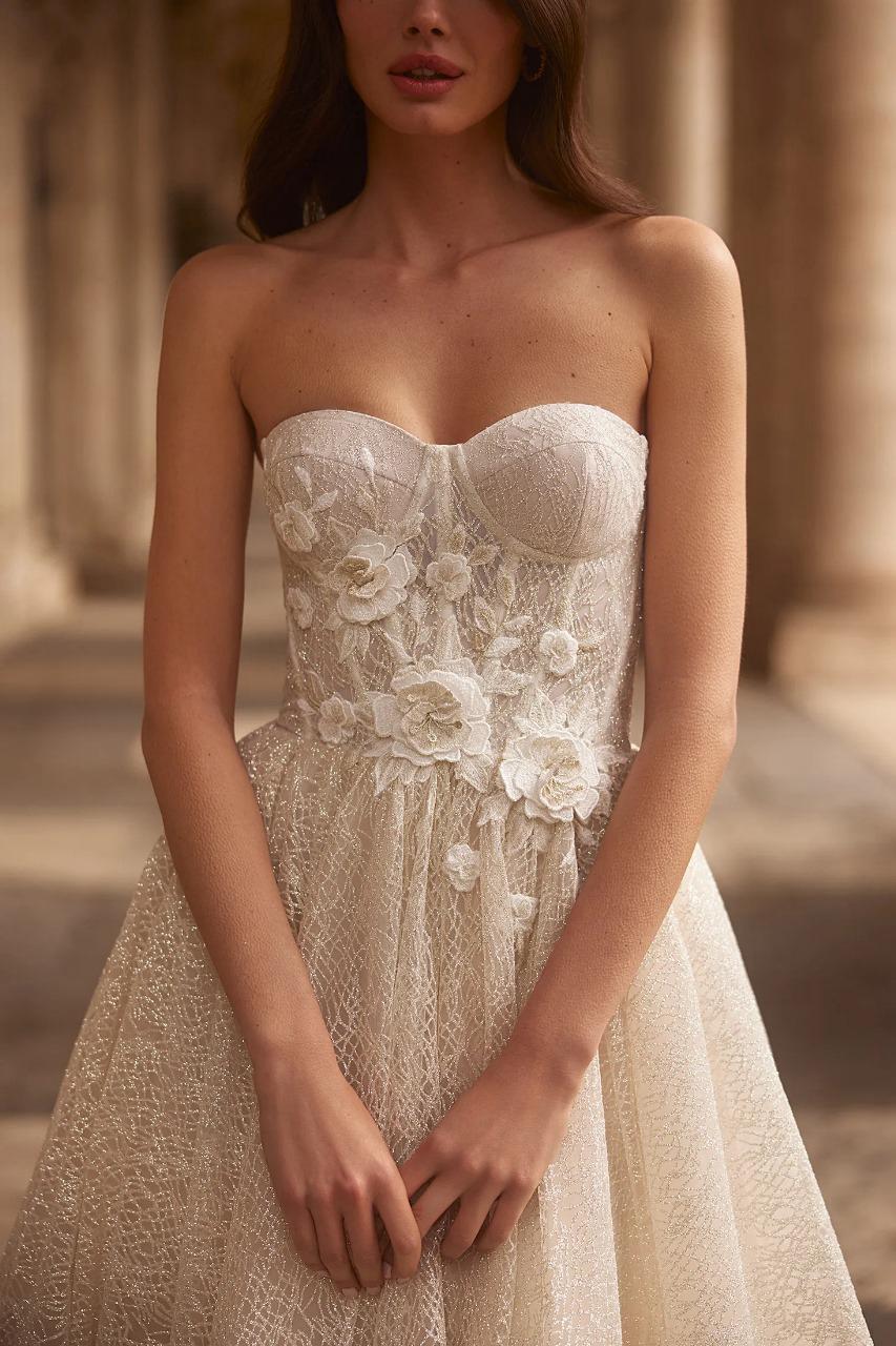colletion images